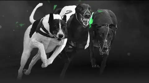 切尔西逆袭纽卡，帕尔默梅开二度终结连败困境