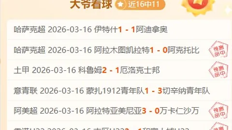 NBA官方捕捉欧文与东契奇欧洲故地重游：卢卡与凯里深情相拥🙏